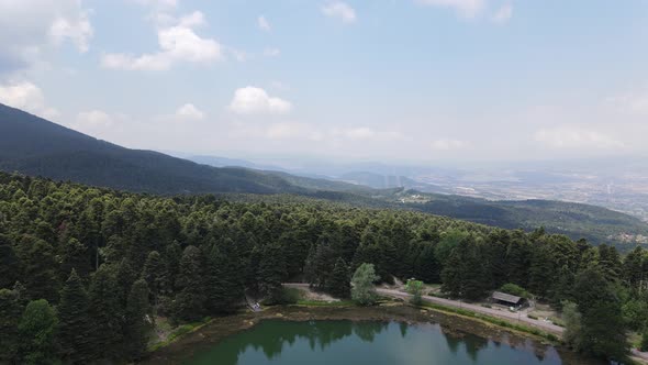 Lake in Forest