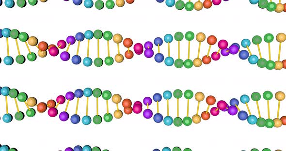 3d Animated Colored DNA Test Video Render Isolated on White Background for Video Editing and Medical
