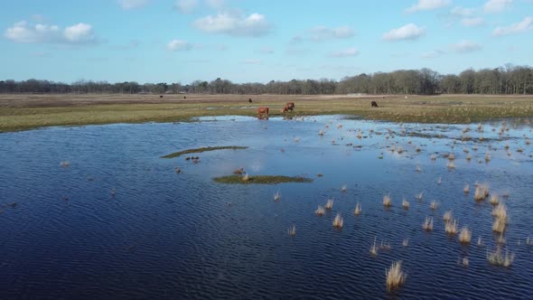 Lake Wasmeer in Hilversum and Laren, the Netherlands, Aerial flying towards the Aurochs