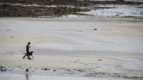 Man walking his dog on a beach