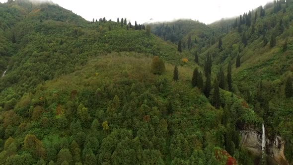 Aerial Mountains Woods