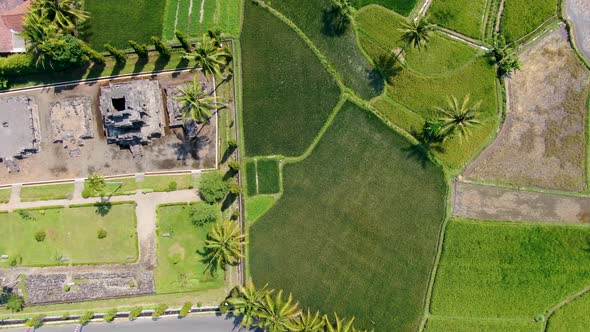 Ngawen temple and surrounding verdant landscape, Muntilan in Indonesia. Aerial top-down sideways