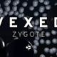 Vexed: Zygote (4in1) - 4K VJ Loop Pack - VideoHive Item for Sale