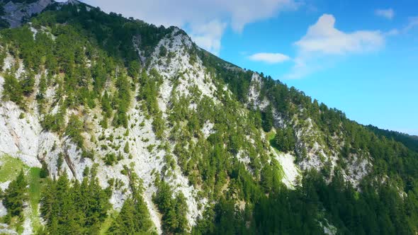 Aerial View Of Foggy Pine Forest And Mountain Valley. 