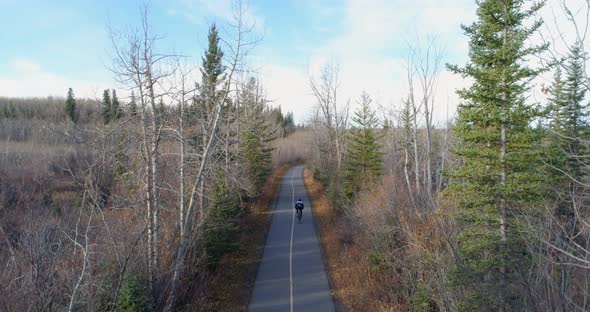 Cyclist cycling through a country road in forest 