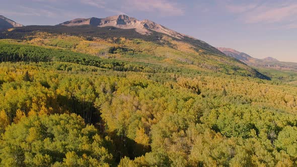 Aspens turning on Kebler Pass, Colorado