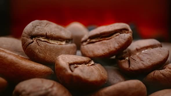 Close Up of Seeds of Coffee