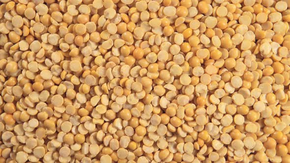 Dried Yellow Peas (Rotation)