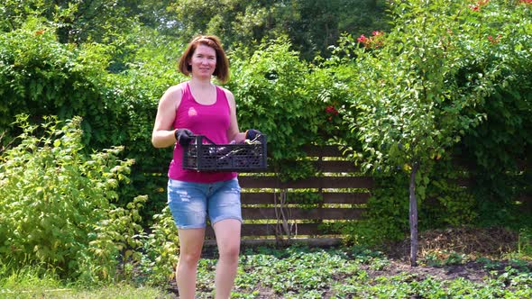 female farmer looking at camera and carrying plastic box with eggplants