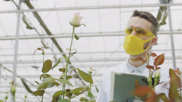 Agricultural Engineer Spraying Flowers Using Sprayer