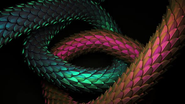 VJ Holographic Snake