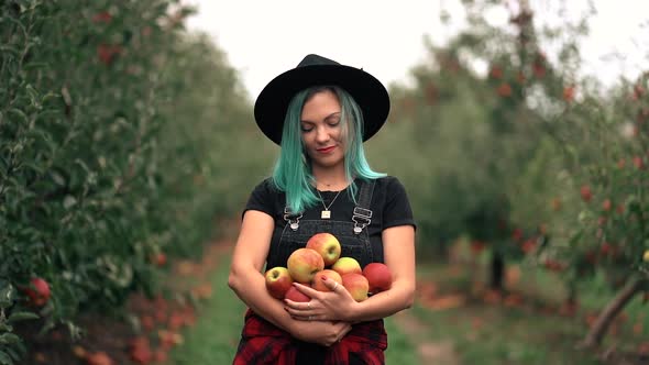 Blue Haired Woman Picked Up a Lot of Ripe Red Apple Fruits From Tree in Green Garden. Organic