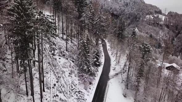Aerial shot with a drone from a road which goes through a forest in Switzerland.