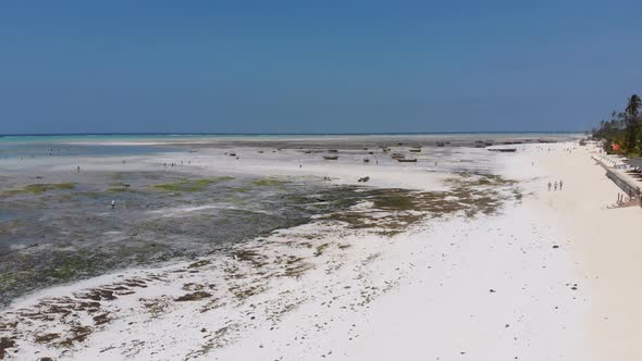 Many Fishing Boats Stuck in Sand Off Coast at Low Tide Zanzibar Aerial View