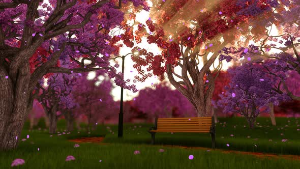 Garden Bench Surrounded by Cherry Blossom Trees alt