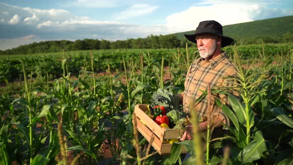 Side view portrait of farmer carrying a box of organic vegetables look at camera at sunlight agricul