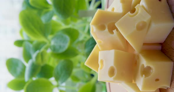 Several Pieces of Aromatic Milk Cheese Rotate on a Wooden Stand Over Natural Blurred Garden