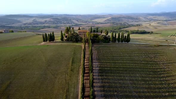 Cypress trees along a road to a traditional farm villa in Tuscany, Italy, Aerial dolly in shot