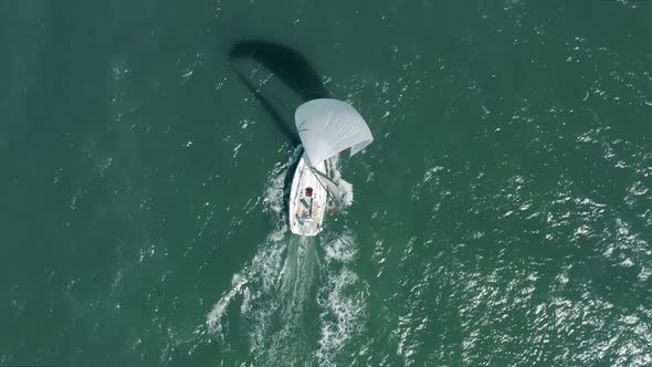 Cinematic Overhead View on White Private Sailing Craft in San Francisco Bay