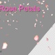 Pink Rose petals Hd - VideoHive Item for Sale