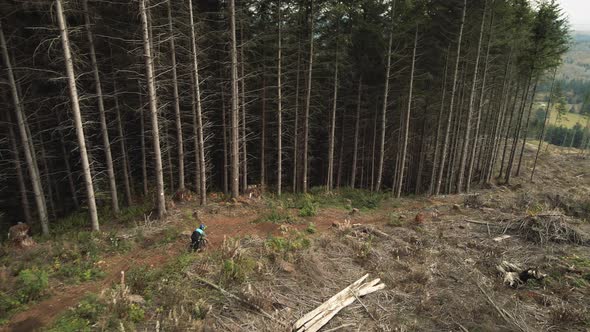 Mountain Bike Drone Video Of Jumps In Forest Clear Cut