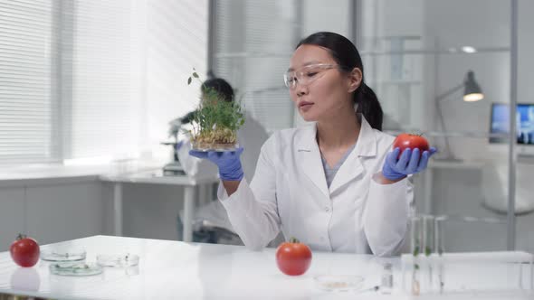 Technologist In Lab With GM Plant And Vegetables