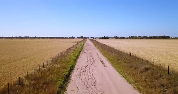 Empty Countryside Road Through Wheat Fields In Summer - aerial drone shot