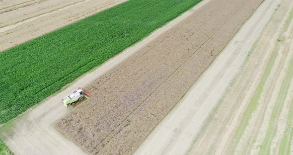 Agriculture Harvester Harvesting Field Aerial View