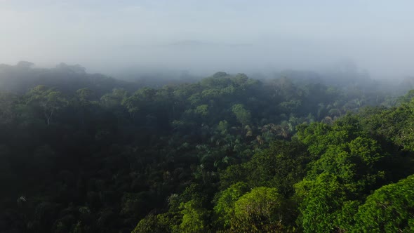 Aerial Drone View of Rainforest Scenery in Costa Rica, Above Trees and Clouds in Misty Landscape, Va