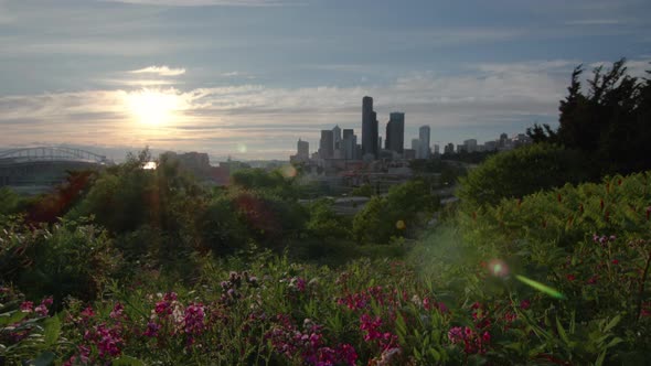 Colorful Neon Urban Wildflowers With Skyline Background alt