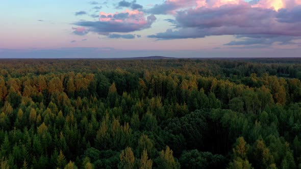 Aerial View of North European Forest