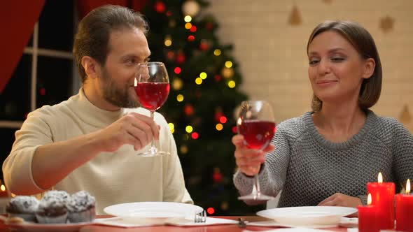 Loving Couple Drinking Wine on Christmas Eve, Loving Relations, Happy Marriage