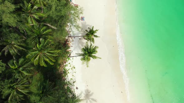 Aerial drone shot seascape of perfect seashore beach wildlife by shallow sea with bright sandy backg