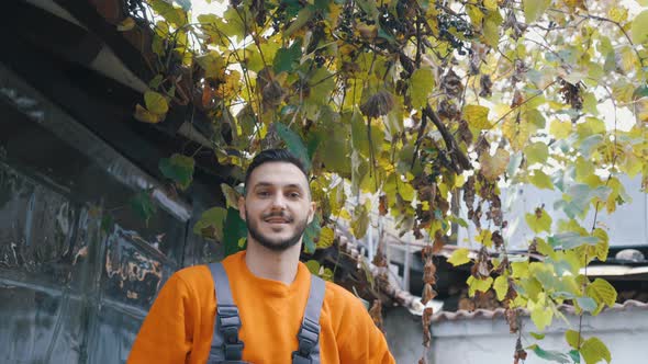 Happy Smiling Man Pruning Family Vine and Picking Grapes in Sunny Autumn Day