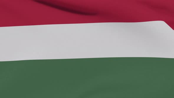 Flag Hungary Patriotism National Freedom Seamless Loop