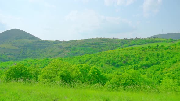 Euganean Green Hills of Veneto