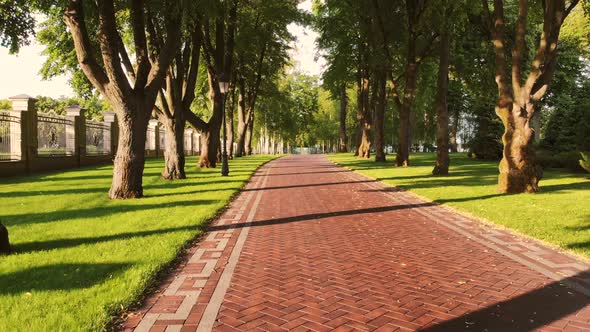 Red Cobblestone Pathway in the Park and Trees