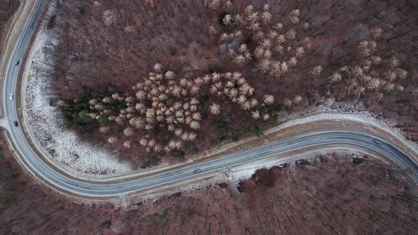 Landscape with Winding Road Through Forest Aerial View