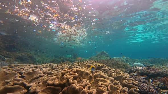 Trash and plastic floating on surface with healthy pristine coral reef below. shot in asia