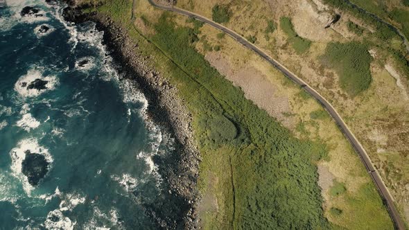 Top Down Ireland Shore Road Aerial View: Green Grass and Trees at Rural Way. Ocean Irish Coast