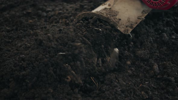 Hand Tractor Tiller Ploughing The Soil In The Field. - close up