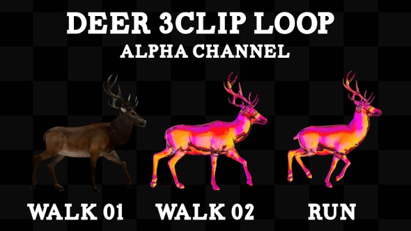 Deer 3 Clip Loop Alpha alt