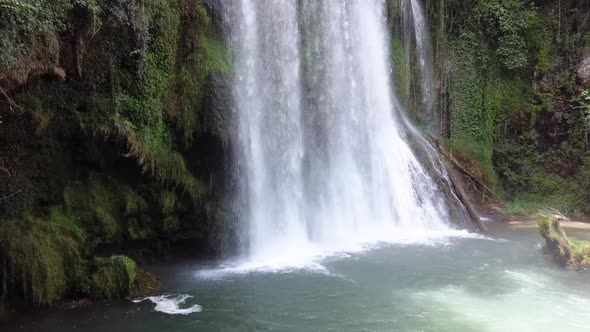 Waterfall under the trees