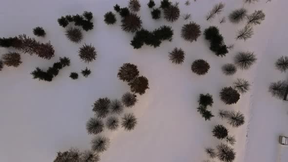 Aerial View of Residential Area in Winter Small Park with Bare Trees Covered with Snow