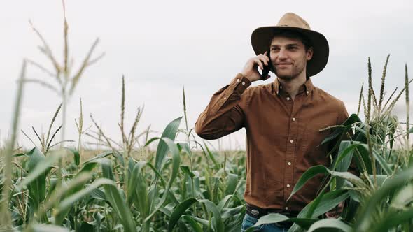 Young Farmer in Hat Walking in Green Corn Field and Talking on Mobile Phone. Agricultury Industry