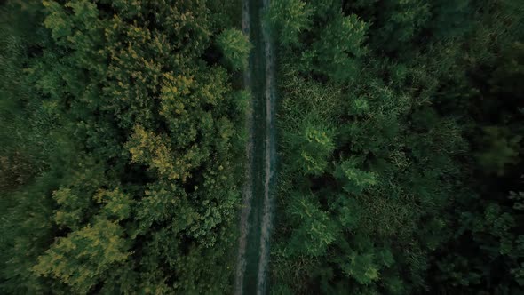 Aerial drone shot of a road in the middle of the woods.