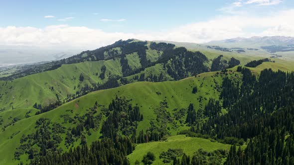 Vast grasslands and mountains in a fine day