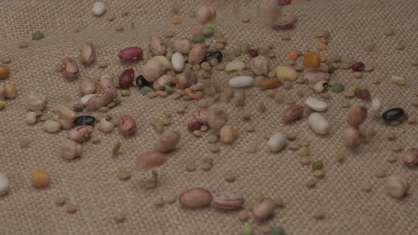 Dry legumes mixed beans falling at slow motion