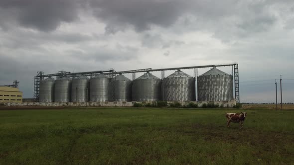 Grain Elevator