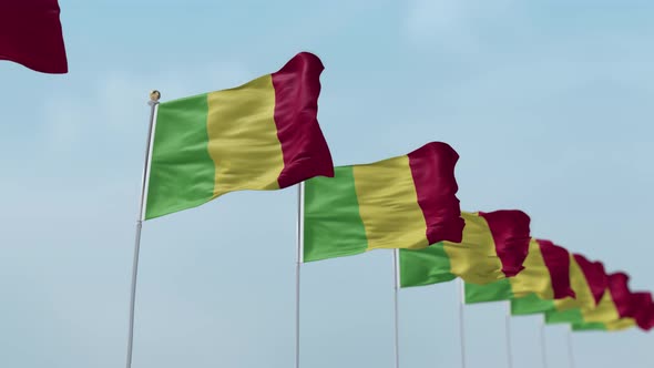 Mali Row Of Flags 